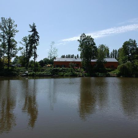 Florennes Gite Neuf 150 M2 Devant Un Grand Lac Prive De 2 Hectares Poissonneux Au Milieu Des Bois Εξωτερικό φωτογραφία