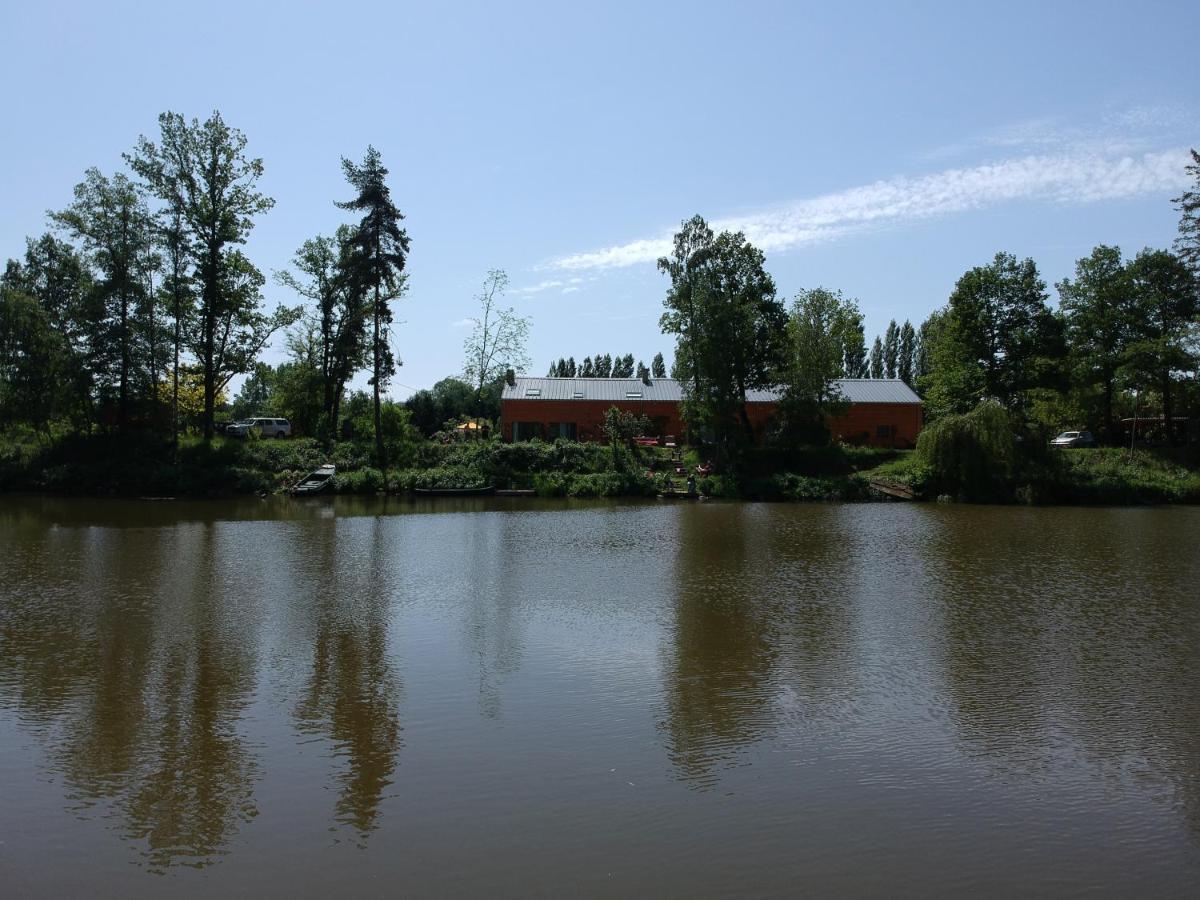 Florennes Gite Neuf 150 M2 Devant Un Grand Lac Prive De 2 Hectares Poissonneux Au Milieu Des Bois Βίλα Εξωτερικό φωτογραφία