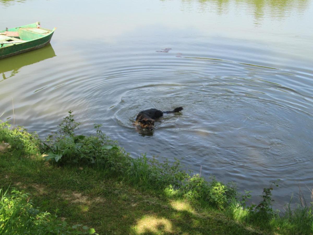 Florennes Gite Neuf 150 M2 Devant Un Grand Lac Prive De 2 Hectares Poissonneux Au Milieu Des Bois Βίλα Εξωτερικό φωτογραφία