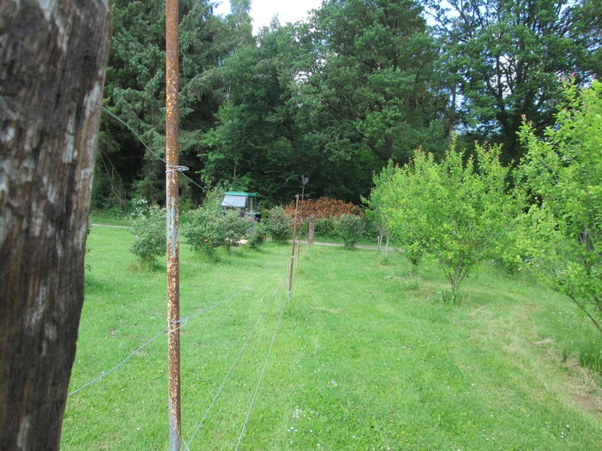 Florennes Gite Neuf 150 M2 Devant Un Grand Lac Prive De 2 Hectares Poissonneux Au Milieu Des Bois Εξωτερικό φωτογραφία