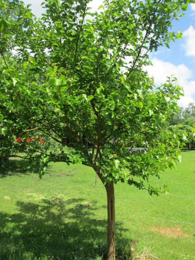 Florennes Gite Neuf 150 M2 Devant Un Grand Lac Prive De 2 Hectares Poissonneux Au Milieu Des Bois Βίλα Εξωτερικό φωτογραφία