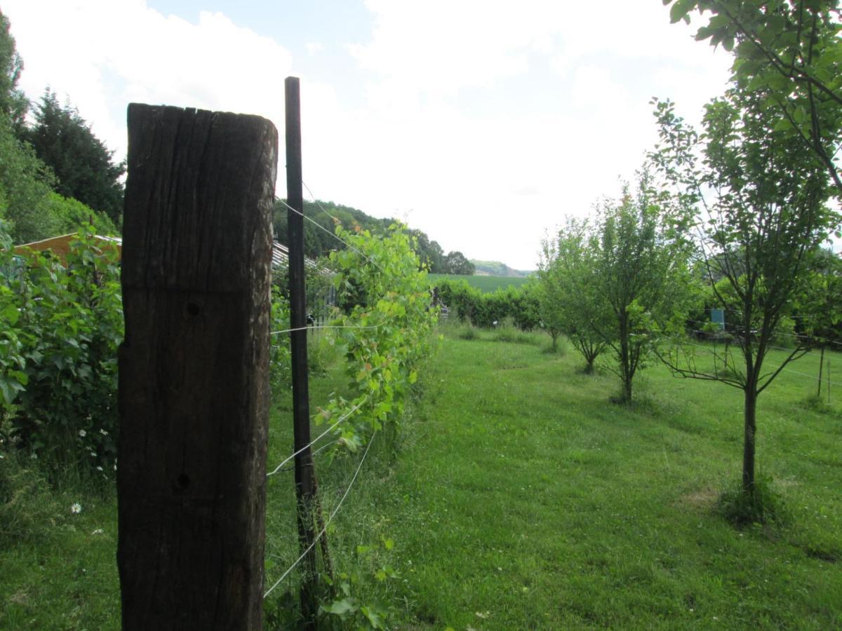 Florennes Gite Neuf 150 M2 Devant Un Grand Lac Prive De 2 Hectares Poissonneux Au Milieu Des Bois Βίλα Εξωτερικό φωτογραφία