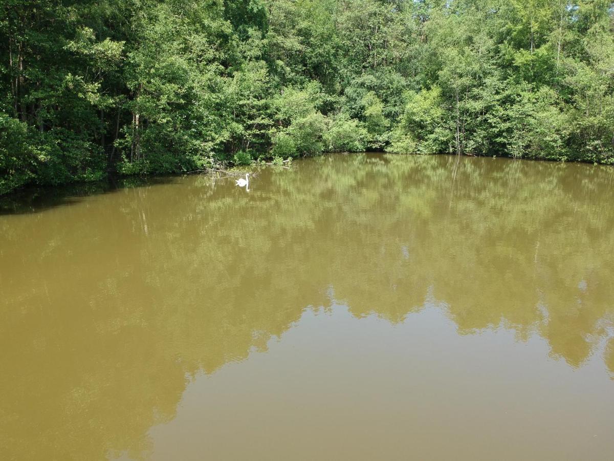 Florennes Gite Neuf 150 M2 Devant Un Grand Lac Prive De 2 Hectares Poissonneux Au Milieu Des Bois Εξωτερικό φωτογραφία