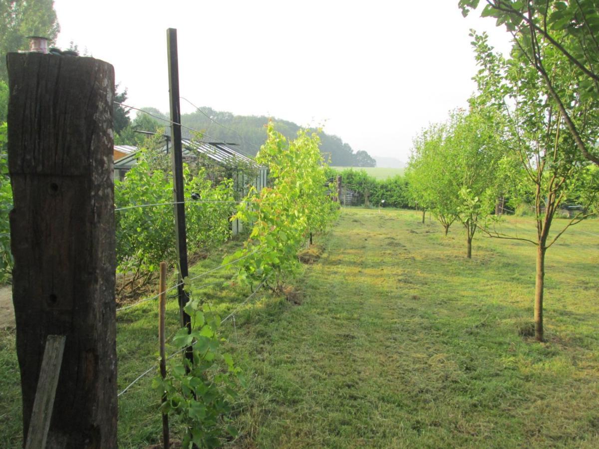 Florennes Gite Neuf 150 M2 Devant Un Grand Lac Prive De 2 Hectares Poissonneux Au Milieu Des Bois Εξωτερικό φωτογραφία