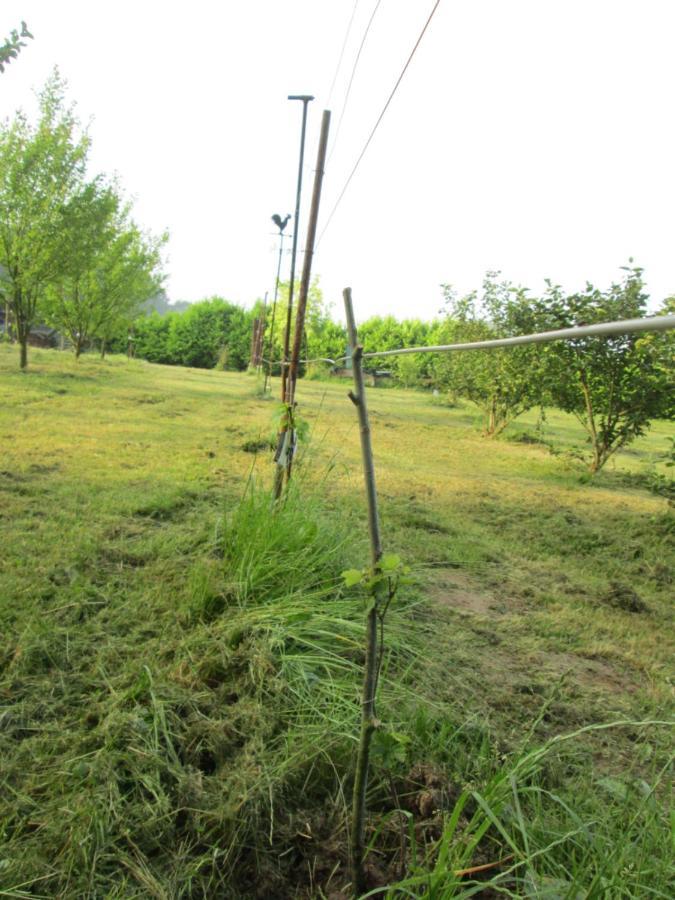 Florennes Gite Neuf 150 M2 Devant Un Grand Lac Prive De 2 Hectares Poissonneux Au Milieu Des Bois Εξωτερικό φωτογραφία