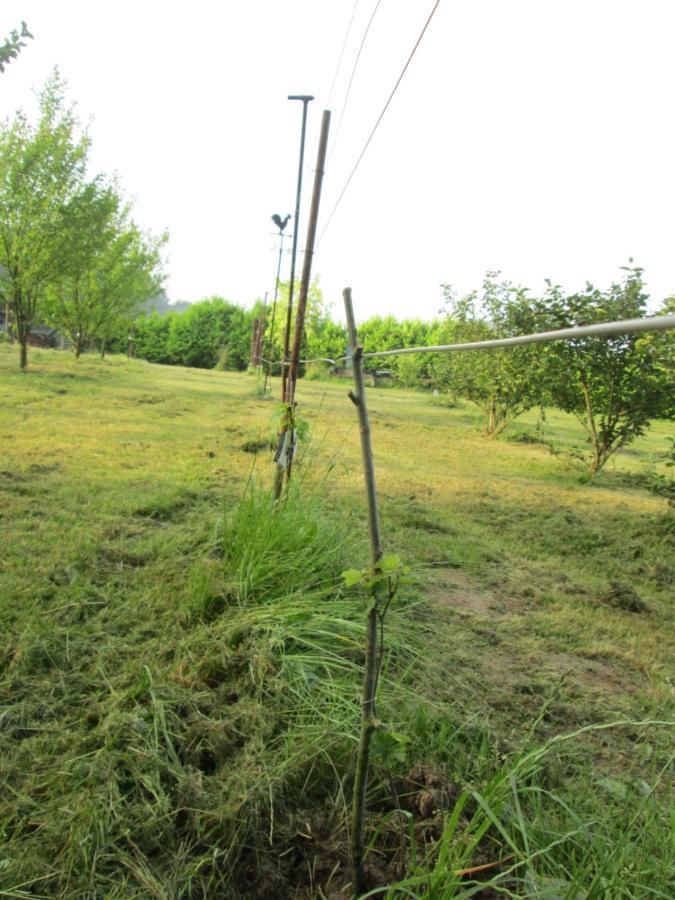 Florennes Gite Neuf 150 M2 Devant Un Grand Lac Prive De 2 Hectares Poissonneux Au Milieu Des Bois Βίλα Εξωτερικό φωτογραφία