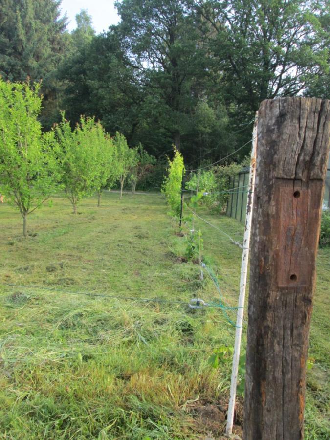 Florennes Gite Neuf 150 M2 Devant Un Grand Lac Prive De 2 Hectares Poissonneux Au Milieu Des Bois Βίλα Εξωτερικό φωτογραφία