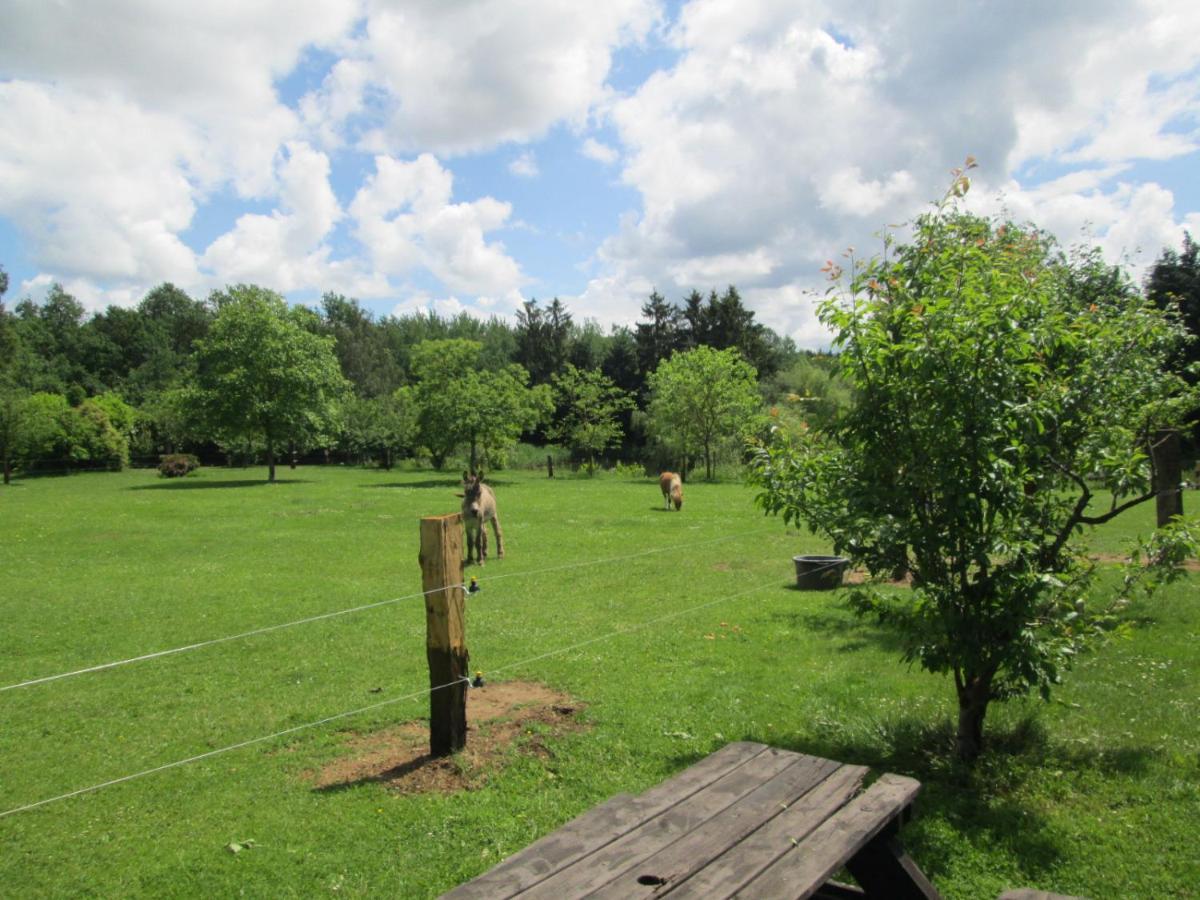 Florennes Gite Neuf 150 M2 Devant Un Grand Lac Prive De 2 Hectares Poissonneux Au Milieu Des Bois Εξωτερικό φωτογραφία