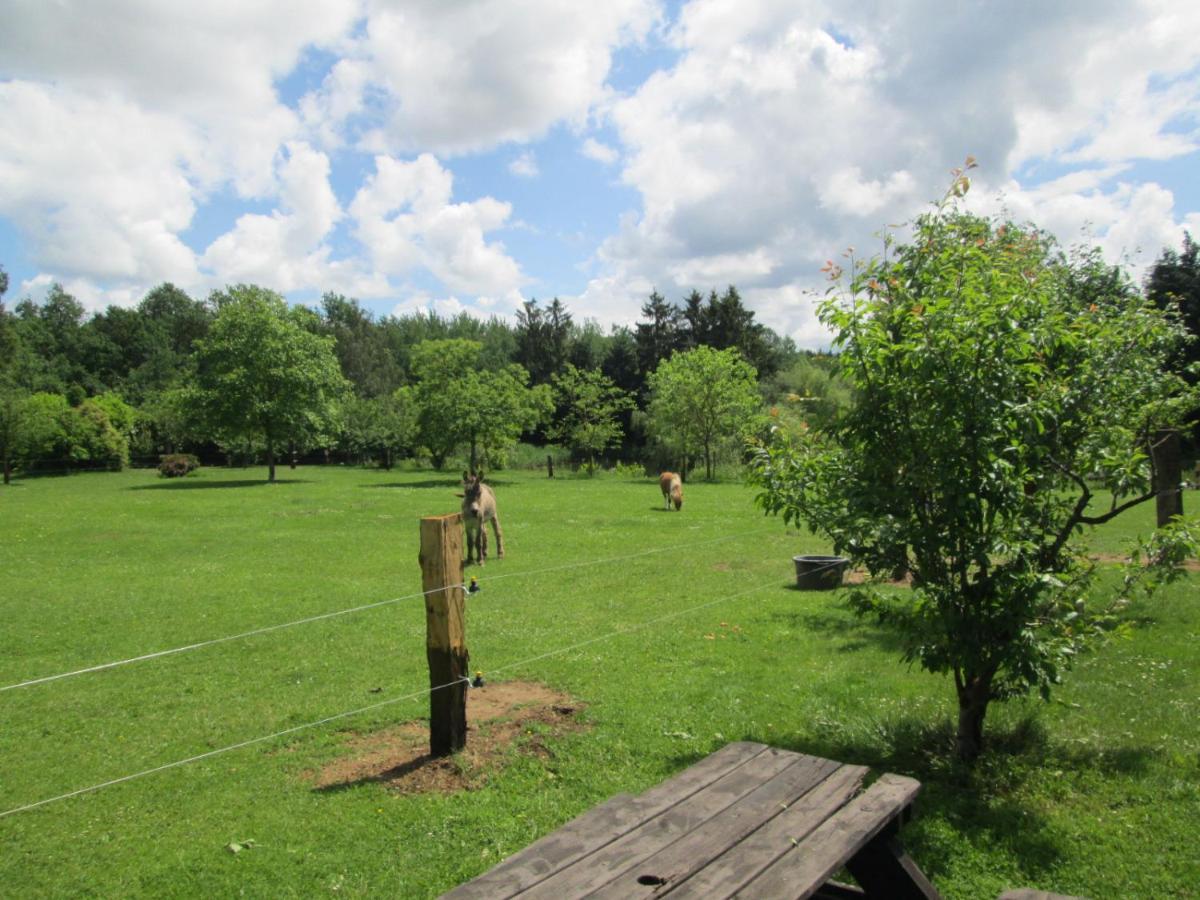 Florennes Gite Neuf 150 M2 Devant Un Grand Lac Prive De 2 Hectares Poissonneux Au Milieu Des Bois Βίλα Εξωτερικό φωτογραφία