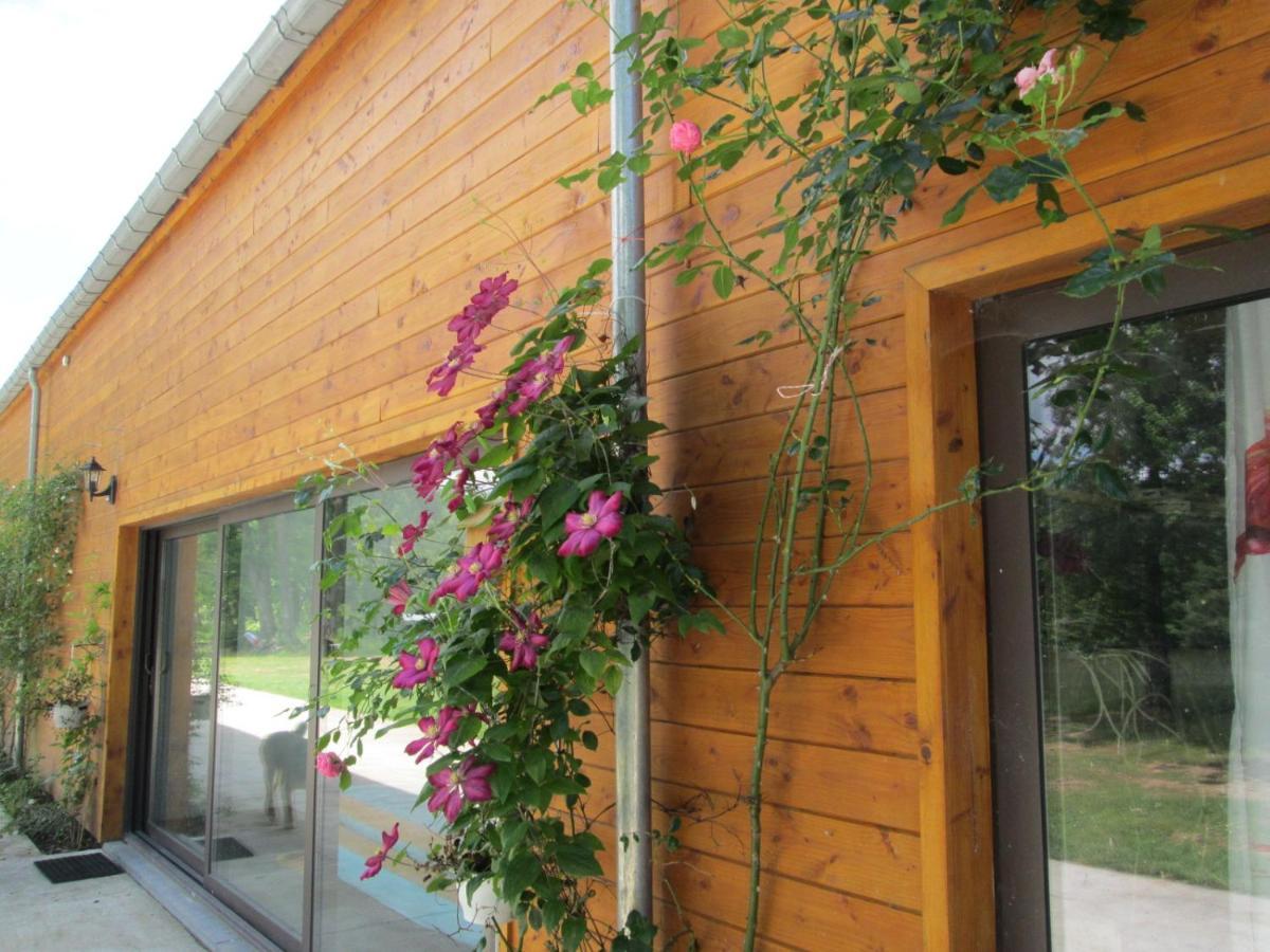Florennes Gite Neuf 150 M2 Devant Un Grand Lac Prive De 2 Hectares Poissonneux Au Milieu Des Bois Εξωτερικό φωτογραφία