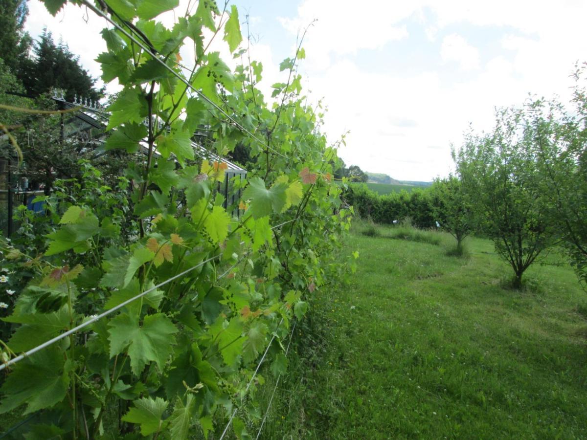 Florennes Gite Neuf 150 M2 Devant Un Grand Lac Prive De 2 Hectares Poissonneux Au Milieu Des Bois Βίλα Εξωτερικό φωτογραφία