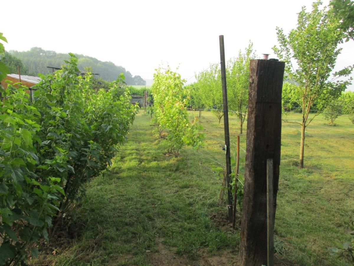 Florennes Gite Neuf 150 M2 Devant Un Grand Lac Prive De 2 Hectares Poissonneux Au Milieu Des Bois Βίλα Εξωτερικό φωτογραφία