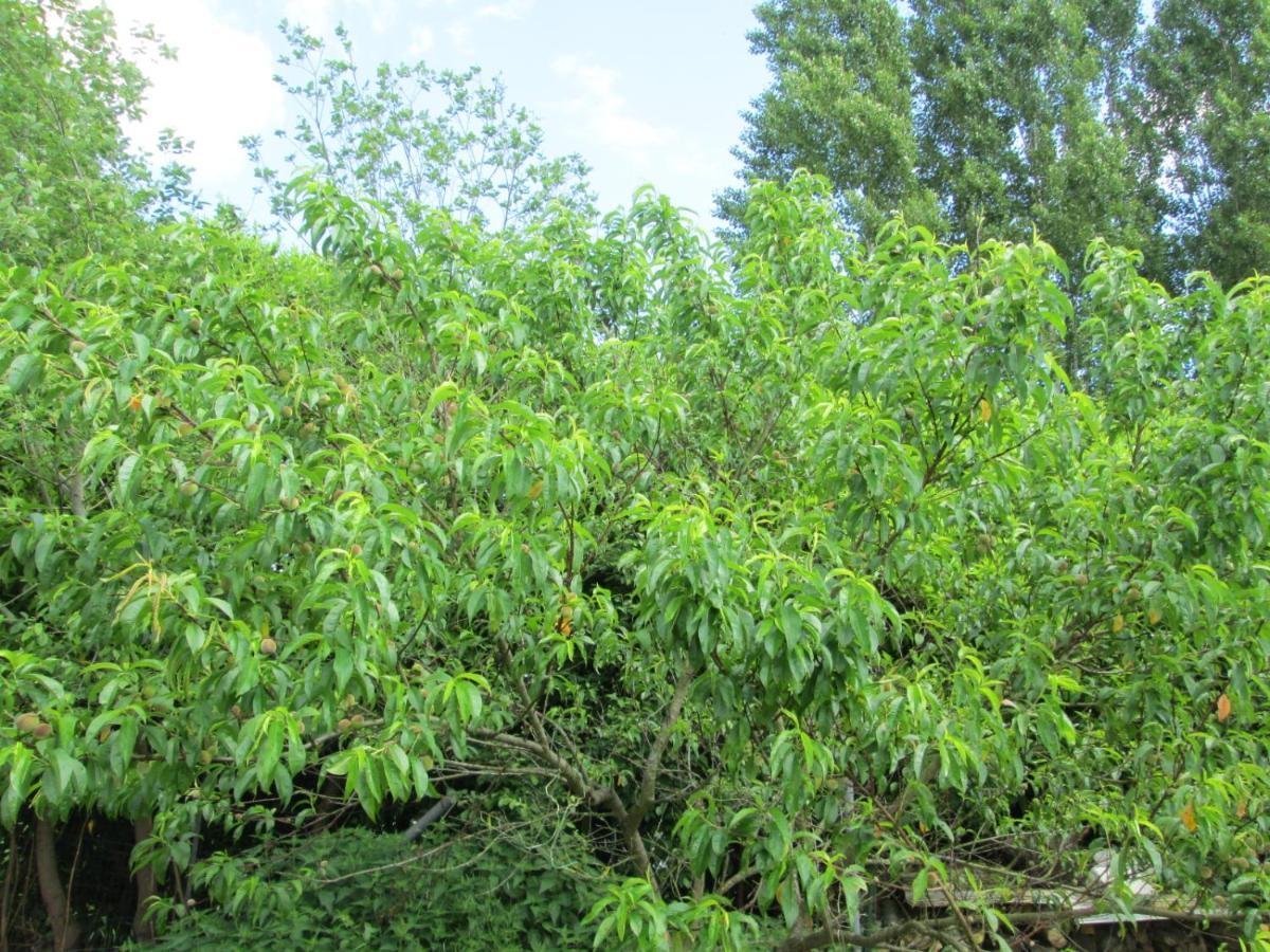 Florennes Gite Neuf 150 M2 Devant Un Grand Lac Prive De 2 Hectares Poissonneux Au Milieu Des Bois Βίλα Εξωτερικό φωτογραφία