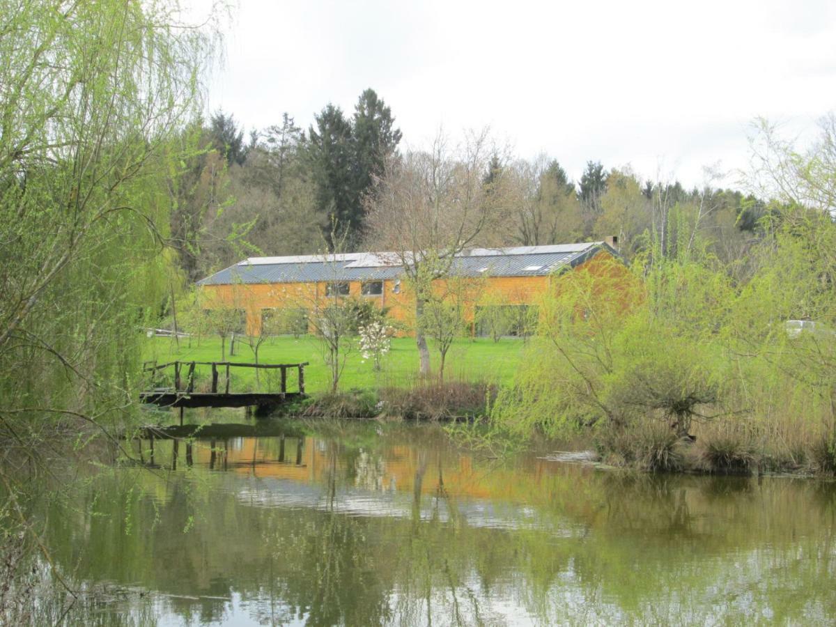 Florennes Gite Neuf 150 M2 Devant Un Grand Lac Prive De 2 Hectares Poissonneux Au Milieu Des Bois Εξωτερικό φωτογραφία