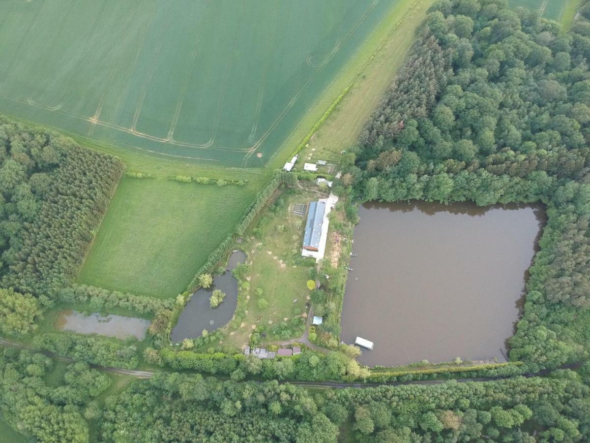 Florennes Gite Neuf 150 M2 Devant Un Grand Lac Prive De 2 Hectares Poissonneux Au Milieu Des Bois Εξωτερικό φωτογραφία