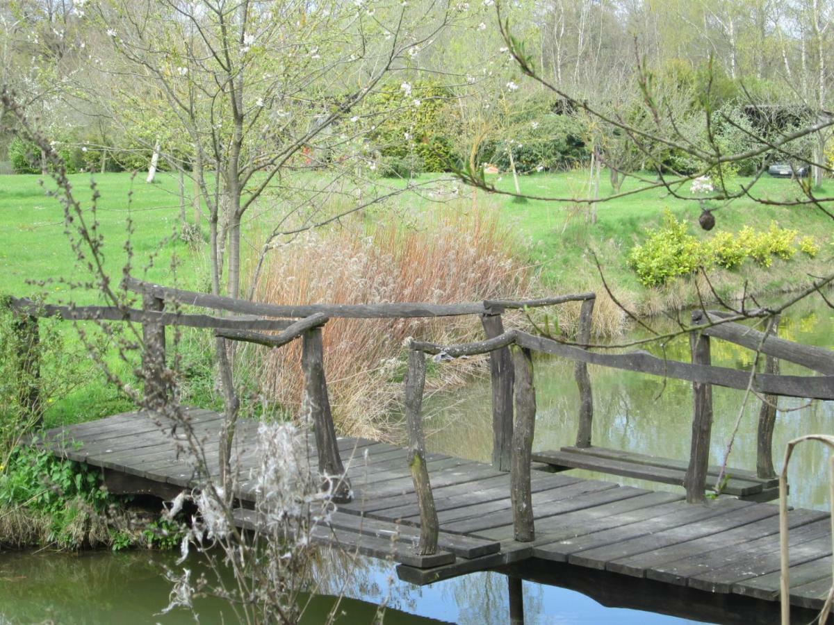 Florennes Gite Neuf 150 M2 Devant Un Grand Lac Prive De 2 Hectares Poissonneux Au Milieu Des Bois Βίλα Εξωτερικό φωτογραφία