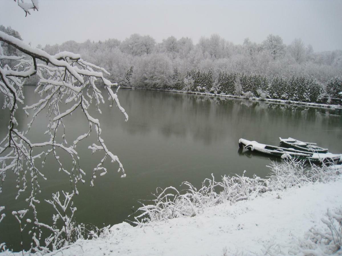 Florennes Gite Neuf 150 M2 Devant Un Grand Lac Prive De 2 Hectares Poissonneux Au Milieu Des Bois Βίλα Εξωτερικό φωτογραφία