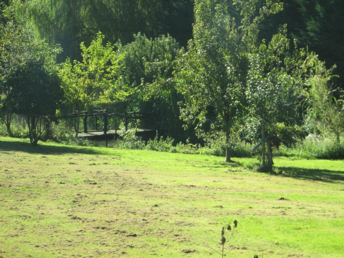 Florennes Gite Neuf 150 M2 Devant Un Grand Lac Prive De 2 Hectares Poissonneux Au Milieu Des Bois Εξωτερικό φωτογραφία