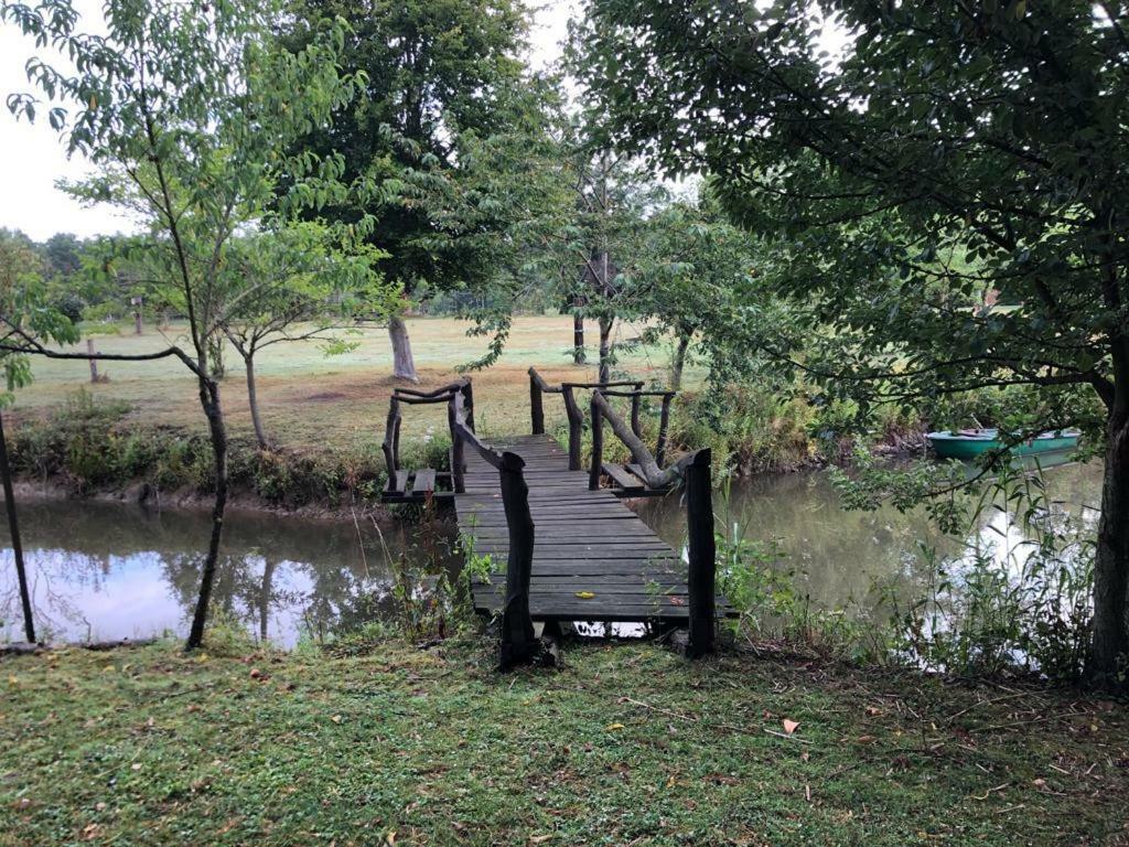 Florennes Gite Neuf 150 M2 Devant Un Grand Lac Prive De 2 Hectares Poissonneux Au Milieu Des Bois Βίλα Εξωτερικό φωτογραφία