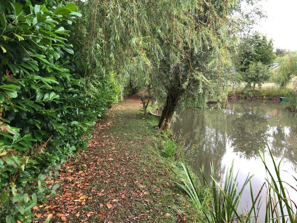 Florennes Gite Neuf 150 M2 Devant Un Grand Lac Prive De 2 Hectares Poissonneux Au Milieu Des Bois Εξωτερικό φωτογραφία